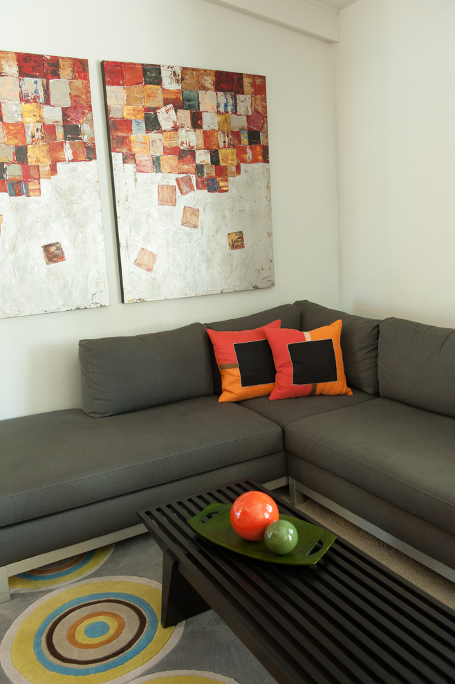 Hays, KS midcentury modern ranch Contemporary Living Room