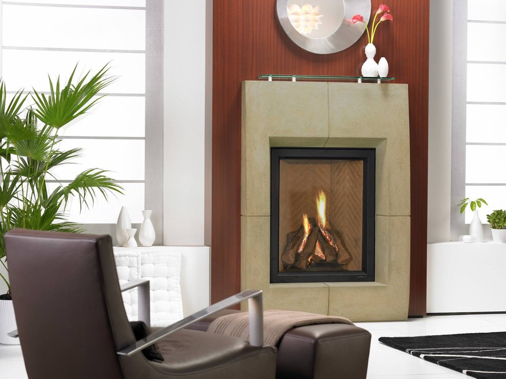 Heat & Glo Everest Gas Fireplace Modern Living Room Minneapolis
