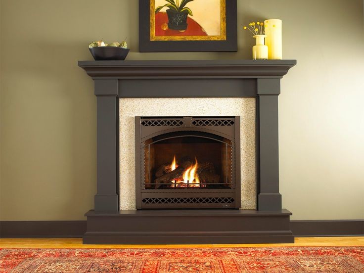 Heat & Glo SL750 Slim Line Gas Fireplace Traditional Living Room