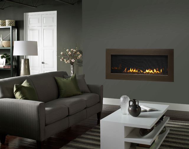 Heatilator Collection Modern Living Room Minneapolis by