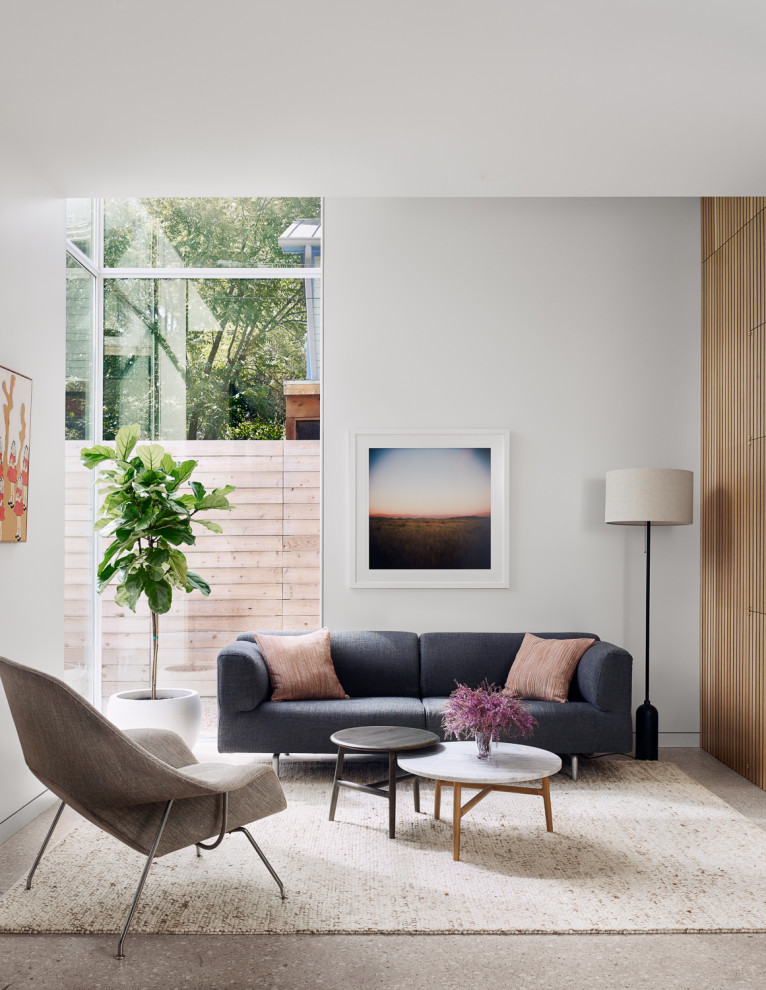 Inspiration for a contemporary living room remodel in Austin
