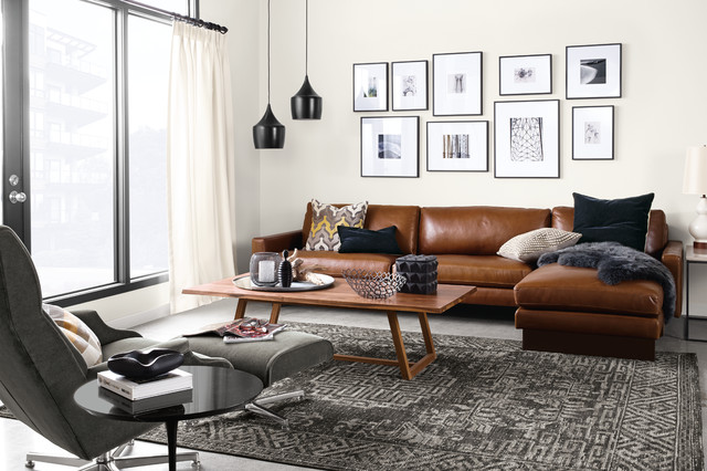 Hess Leather Sofa and Amira Rug - Contemporary - Living Room - Minneapolis  - by Room & Board | Houzz IE