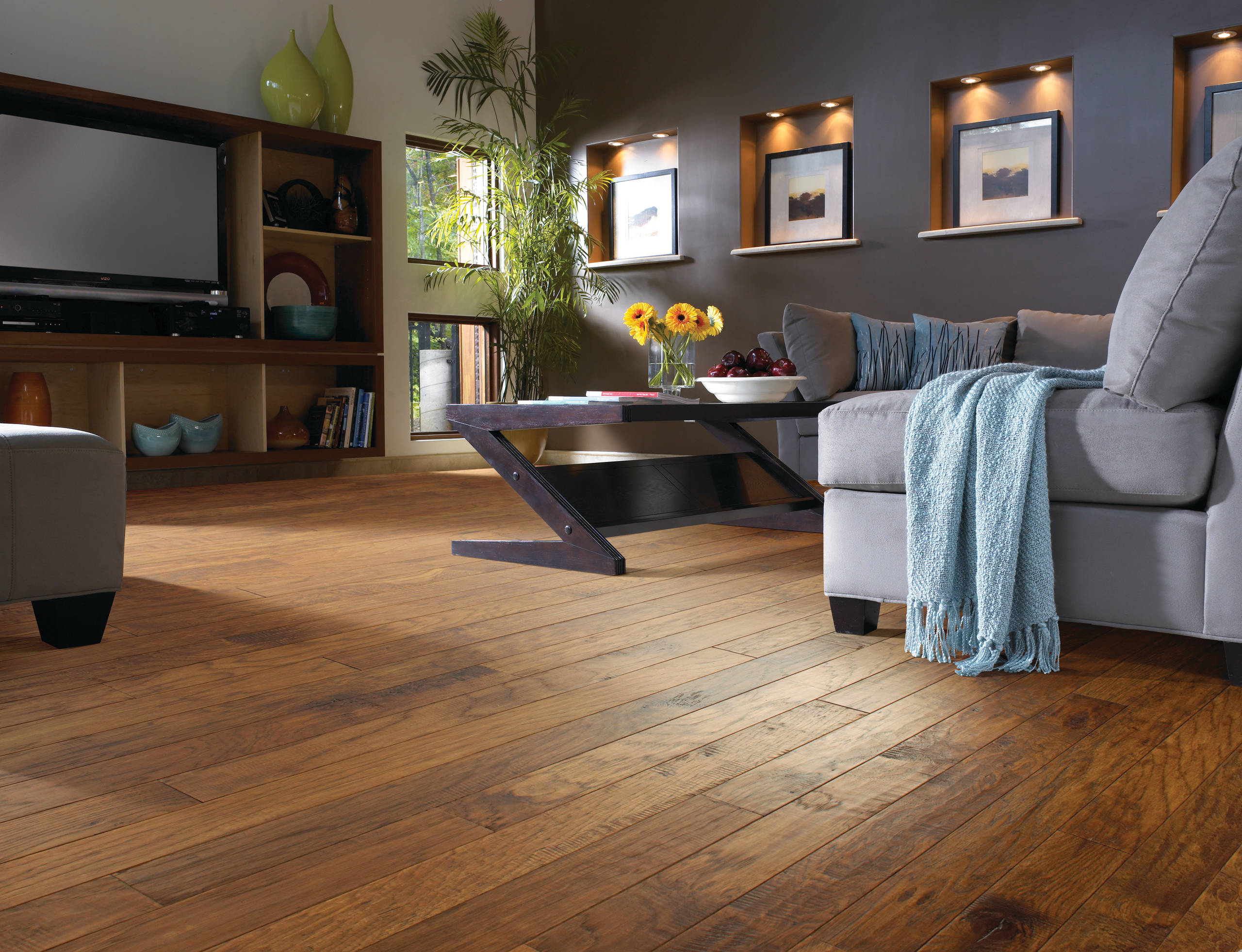 Houzz Living Rooms With Hardwood Floors | Cabinets Matttroy