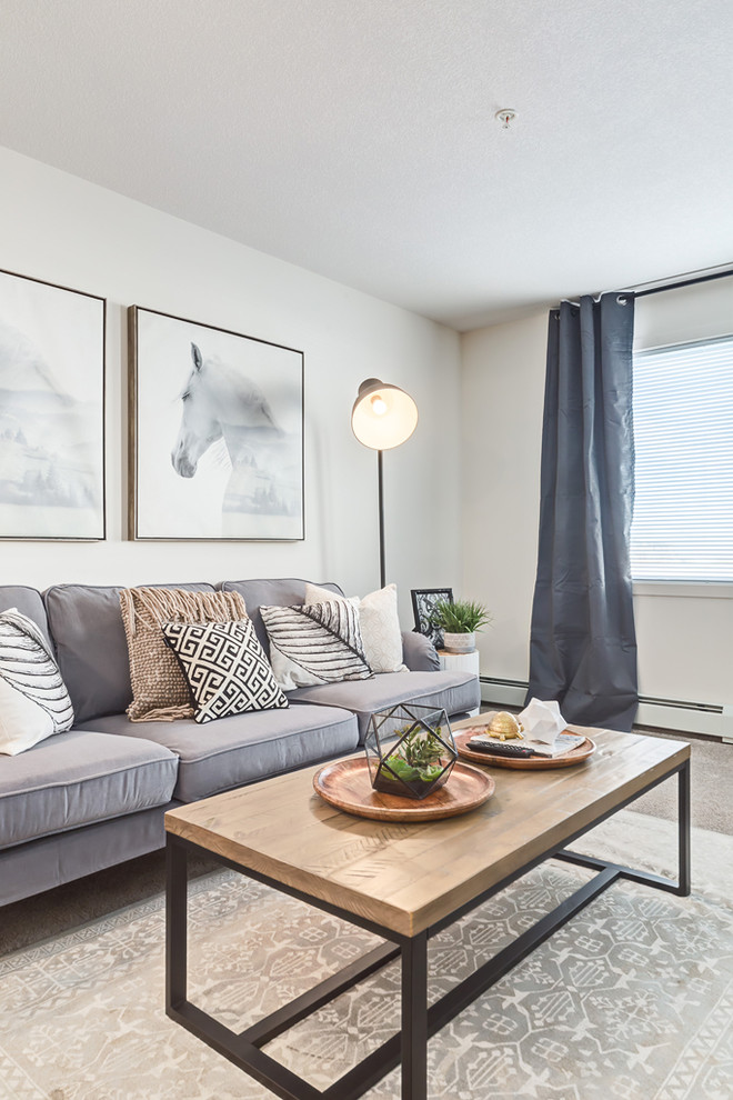 Foto de salón para visitas abierto escandinavo pequeño sin chimenea con paredes blancas, moqueta, televisor independiente y suelo beige