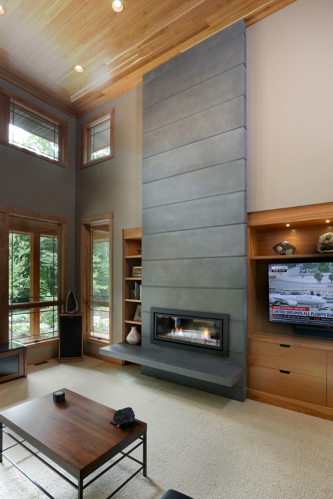Trendy carpeted living room photo in Grand Rapids with a standard fireplace and a concrete fireplace