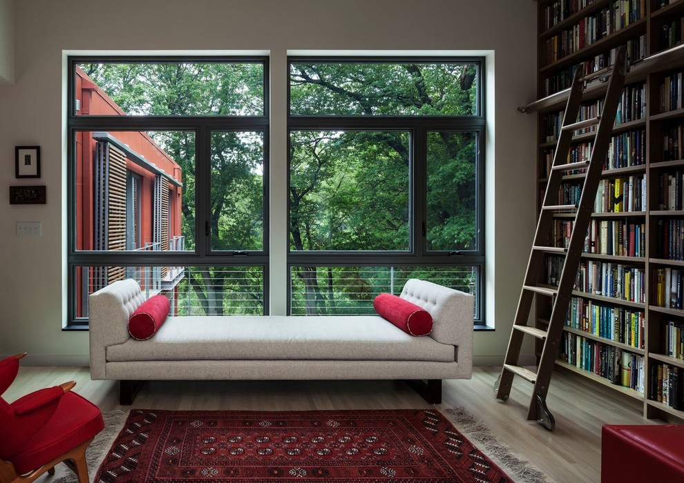 Пример оригинального дизайна: гостиная комната в современном стиле с с книжными шкафами и полками и ковром на полу