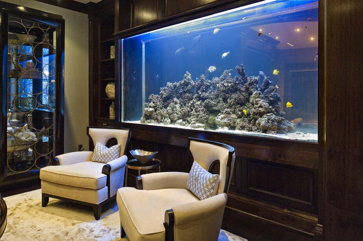 Формат аквариум в интерьере (82 фото)