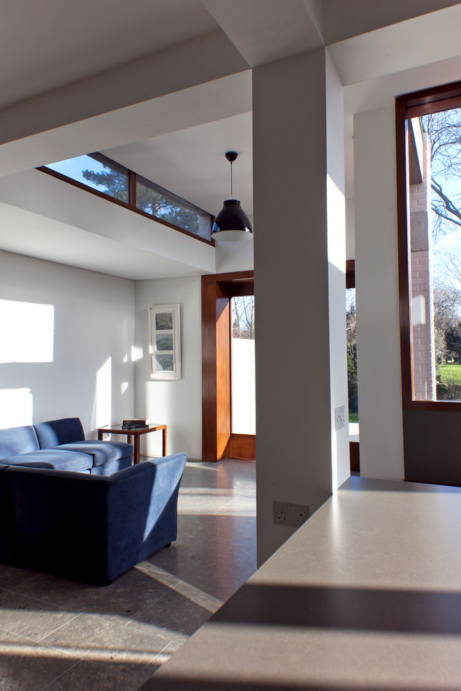 Idee per un soggiorno minimalista con pareti bianche