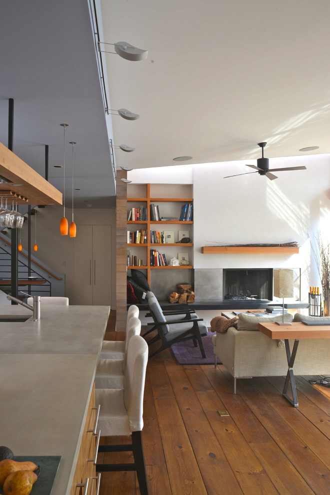 Modelo de salón abierto moderno de tamaño medio con paredes blancas, suelo de madera en tonos medios, todas las chimeneas y marco de chimenea de metal
