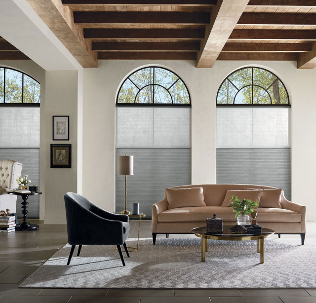 Hunter Douglas Shades Contemporary Living Room