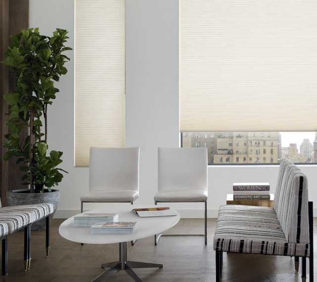 Hunter Douglas Shades Modern Living Room Philadelphia