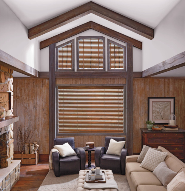 Hunter Douglas Horizontal Blinds Craftsman Living Room New York