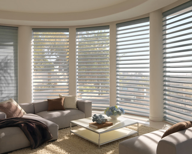 Hunter Douglas Pirouette Blue Brown Guest Bedroom Abda Custom Window Fashions Houzz