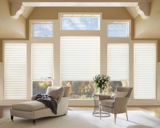 Hunter Douglas Modern Roman Shades Modern