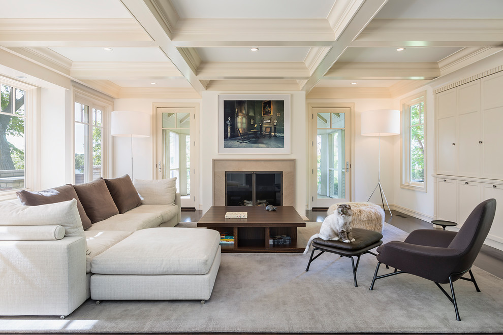 Example of a transitional dark wood floor living room design in Minneapolis with white walls and a standard fireplace