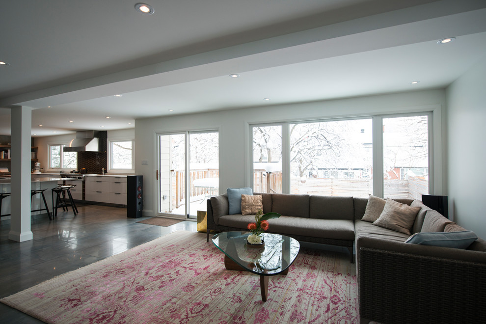 Inspiration for a contemporary living room remodel in Ottawa