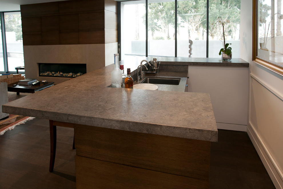 Juno Brushed Limestone Countertop Contemporary Living Room Los Angeles by SOLI