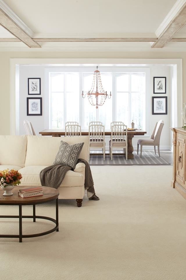 Idee per un soggiorno chic di medie dimensioni e aperto con sala formale, pareti bianche e moquette