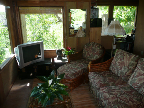 Foto di un piccolo soggiorno tropicale aperto con pareti marroni, pavimento in legno massello medio, nessun camino e TV autoportante