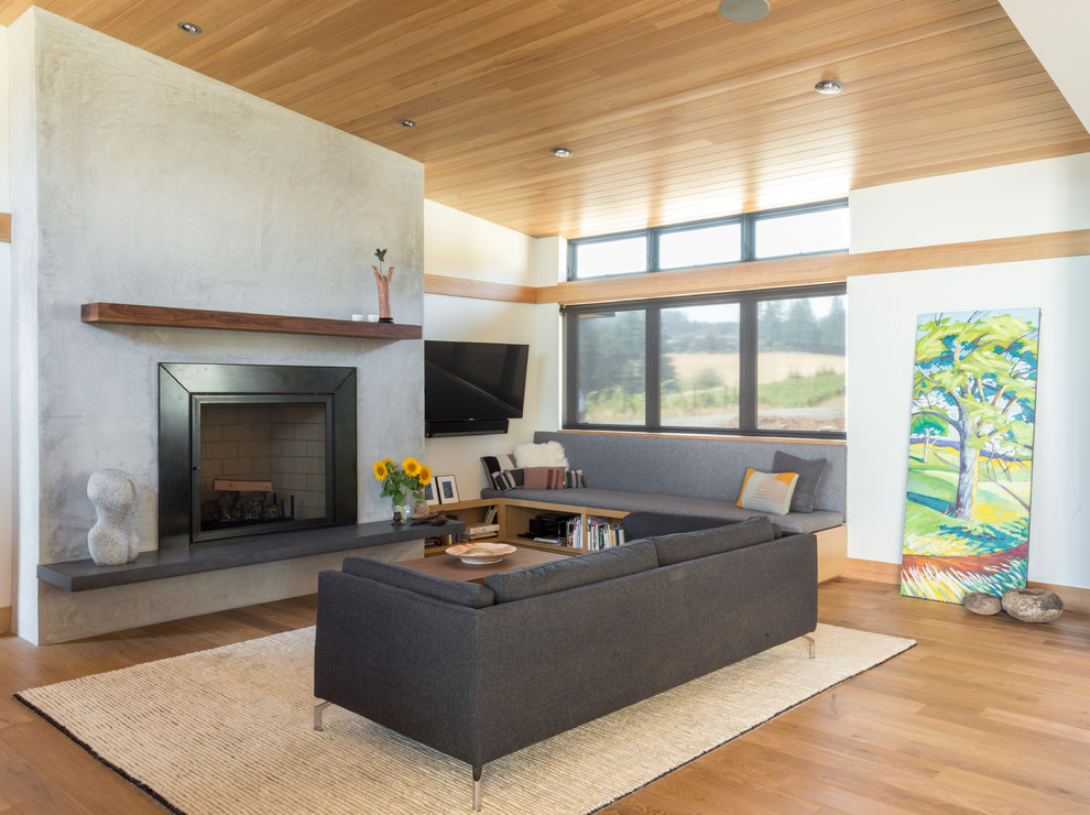 Cette image montre un salon design avec un mur blanc, parquet clair, une cheminée standard, un manteau de cheminée en métal, un téléviseur fixé au mur et un sol marron.