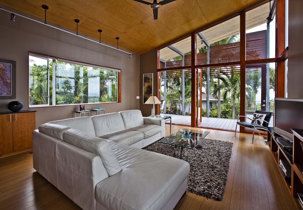 Foto de salón actual con paredes marrones, suelo de madera en tonos medios y televisor independiente