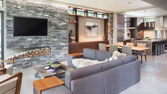 Lake Calhoun Organic Modern - Modern - Living Room - Minneapolis - by ...