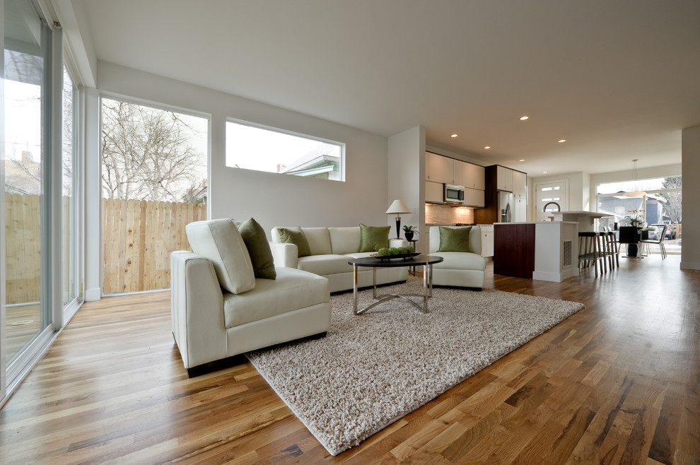Inspiration for a medium sized modern living room in Denver.