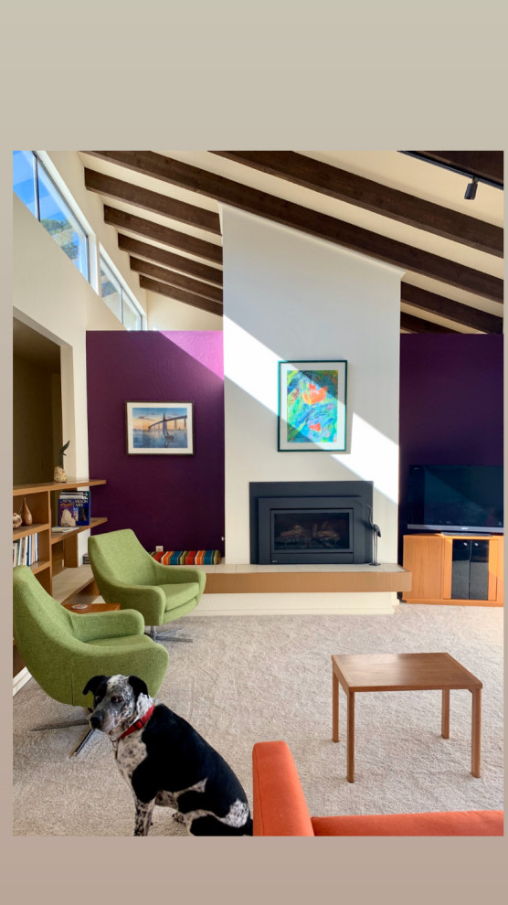 他の地域にある中くらいなコンテンポラリースタイルのおしゃれなLDK (紫の壁、カーペット敷き、ベージュの床) の写真