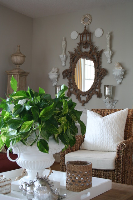 Money plant on dining table outlet