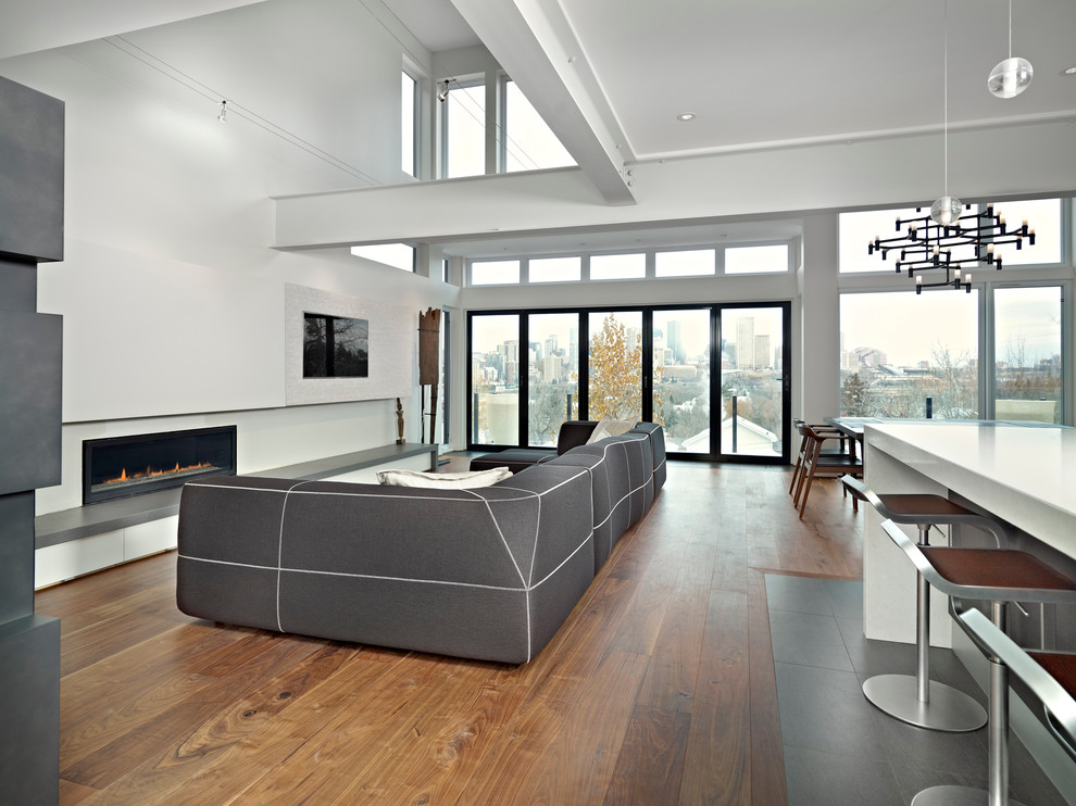 Living Room Modern Living Room Edmonton by Habitat Studio Houzz