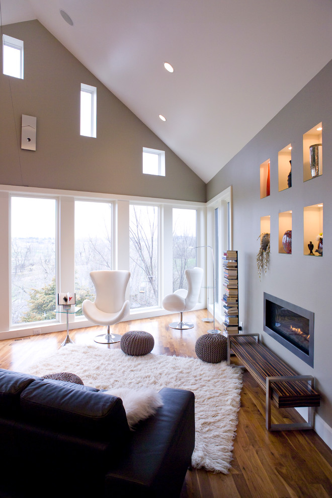 Источник вдохновения для домашнего уюта: гостиная комната в современном стиле с серыми стенами, горизонтальным камином и ковром на полу