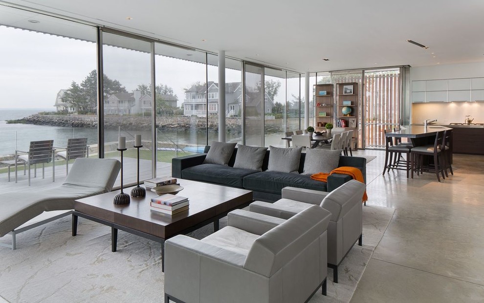 Immagine di un soggiorno minimalista aperto con sala formale e pavimento in cemento