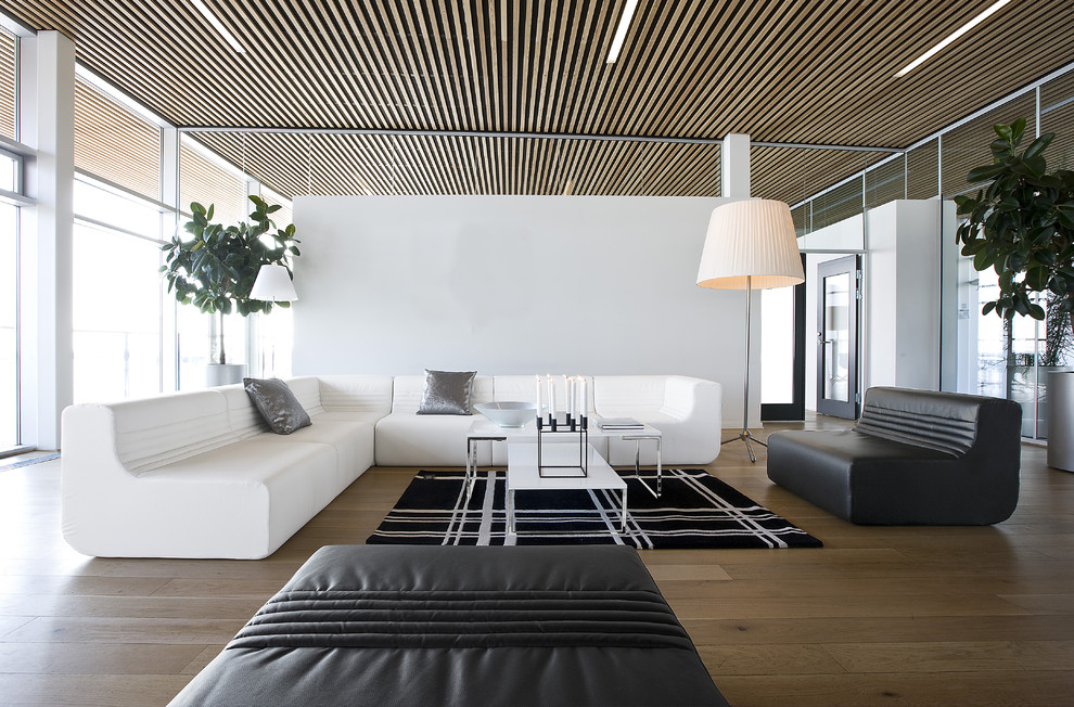 Foto de salón moderno con paredes blancas y suelo de madera en tonos medios