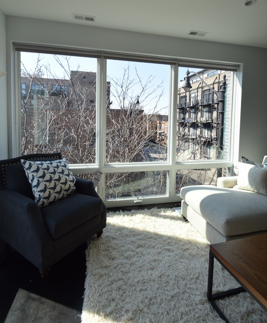 Logan Square Living Room with Hunter Douglas Designer Roller Shades