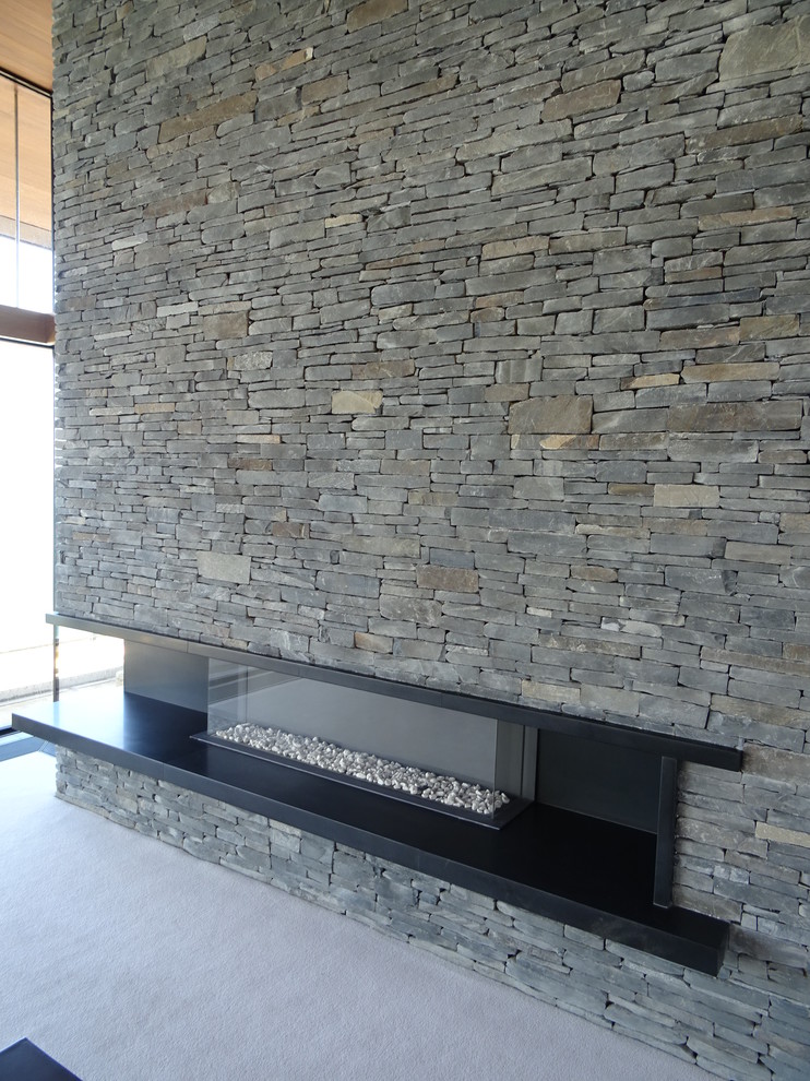 Cette image montre un salon design avec un mur noir et un manteau de cheminée en pierre.