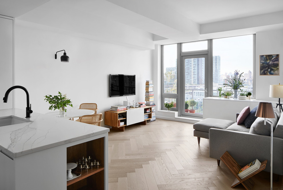 Modernes Wohnzimmer ohne Kamin, im Loft-Stil mit weißer Wandfarbe, hellem Holzboden, TV-Wand und beigem Boden in New York