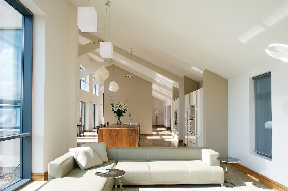 This is an example of a contemporary living room in Cork.