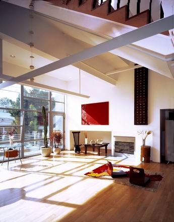 Living room - modern living room idea in Los Angeles