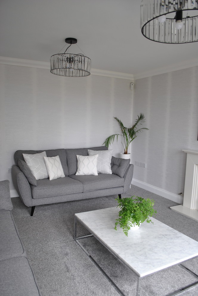 Стильный дизайн: изолированная гостиная комната среднего размера в стиле модернизм с серыми стенами, ковровым покрытием, стандартным камином и отдельно стоящим телевизором - последний тренд