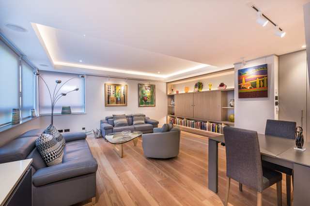 Stunning Luxury Apartment Renovation Affordable image