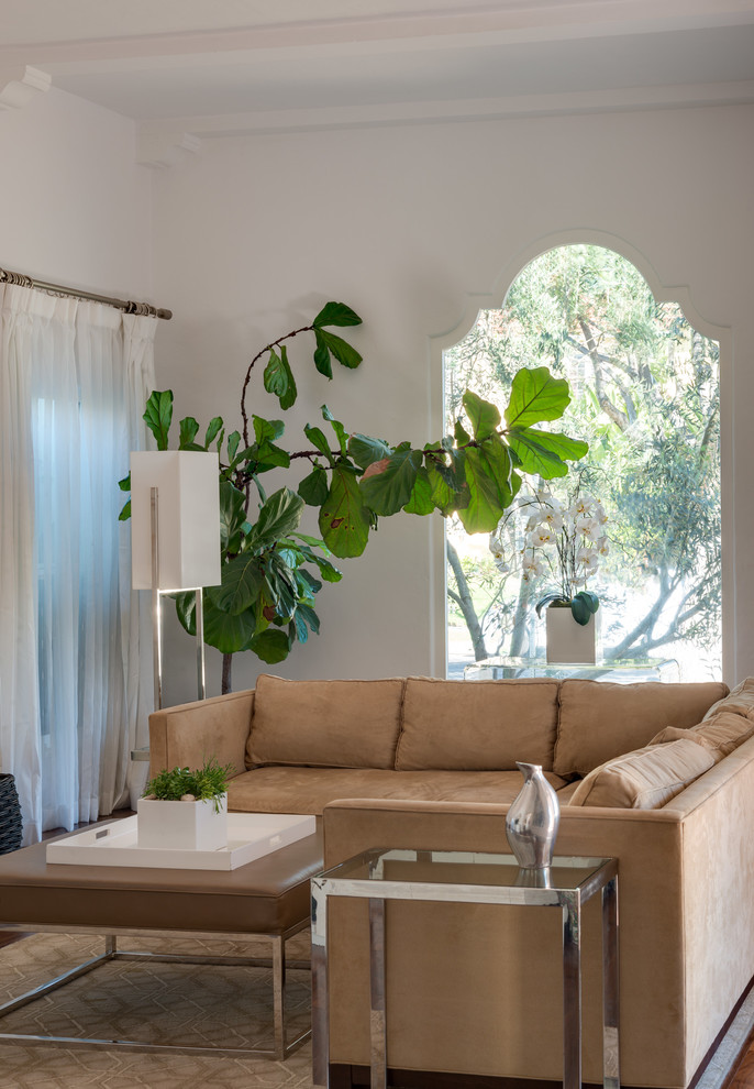 Immagine di un grande soggiorno minimal con pareti bianche e pavimento in legno massello medio