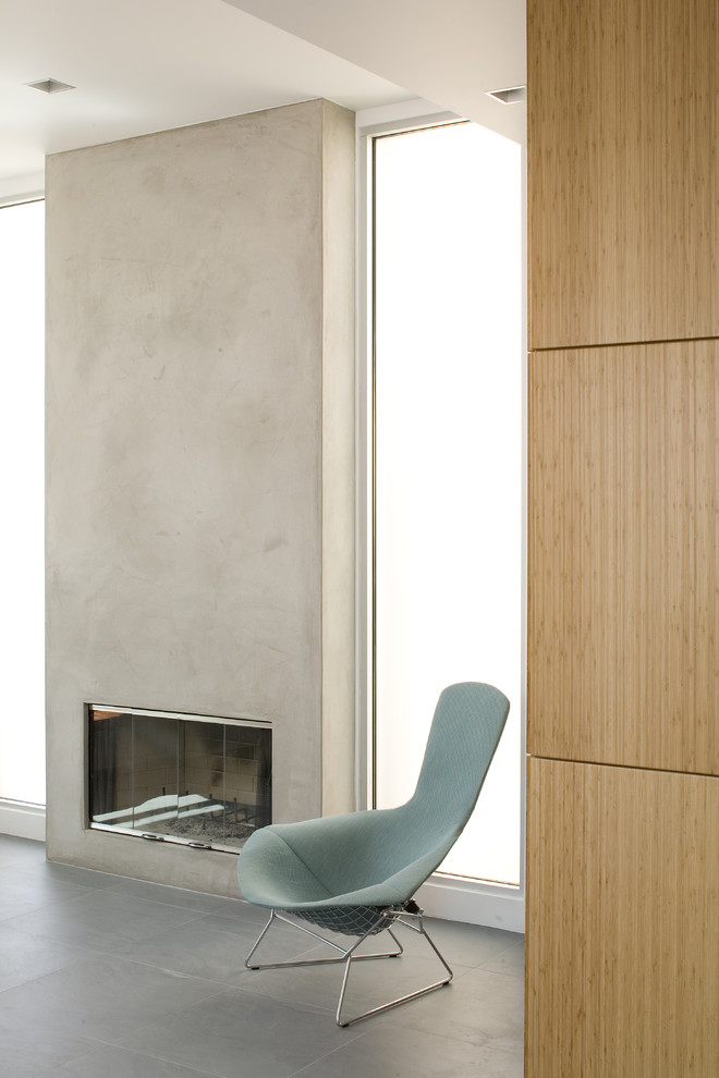 Diseño de salón minimalista con todas las chimeneas y marco de chimenea de hormigón