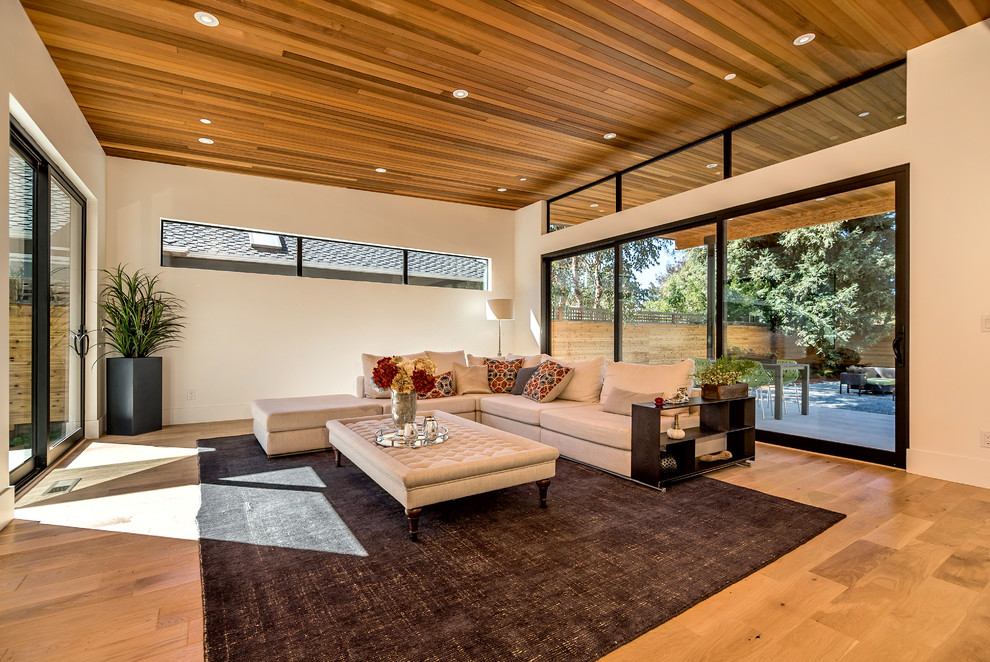 Modernes Wohnzimmer mit weißer Wandfarbe und braunem Holzboden in San Francisco