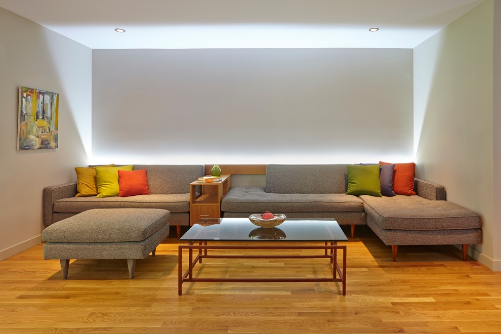 Immagine di un soggiorno minimal con pareti bianche e pavimento in legno massello medio