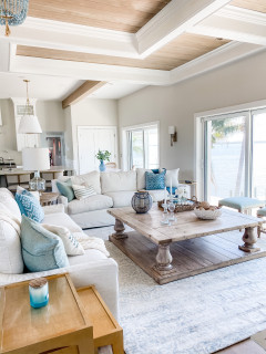 Modern coastal living room ideas deals
