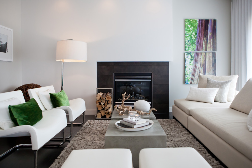 Идея дизайна: гостиная комната в стиле модернизм с белыми стенами, стандартным камином и ковром на полу без телевизора