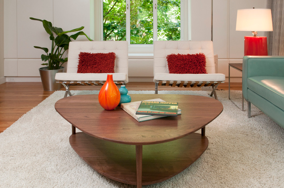 Living room - mid-century modern living room idea in Boston