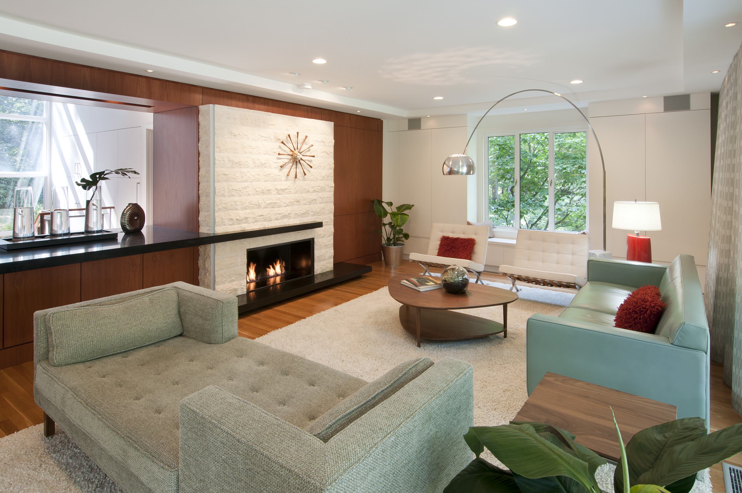 Houzz mid century 2024 modern living room