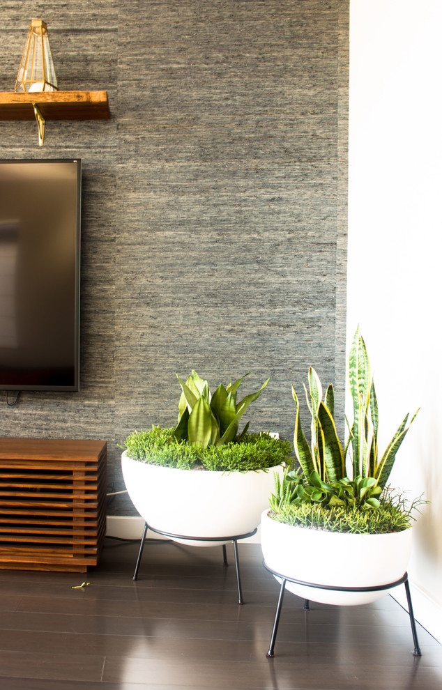 Esempio di un soggiorno minimal di medie dimensioni e aperto con angolo bar, pareti beige, parquet scuro e TV a parete