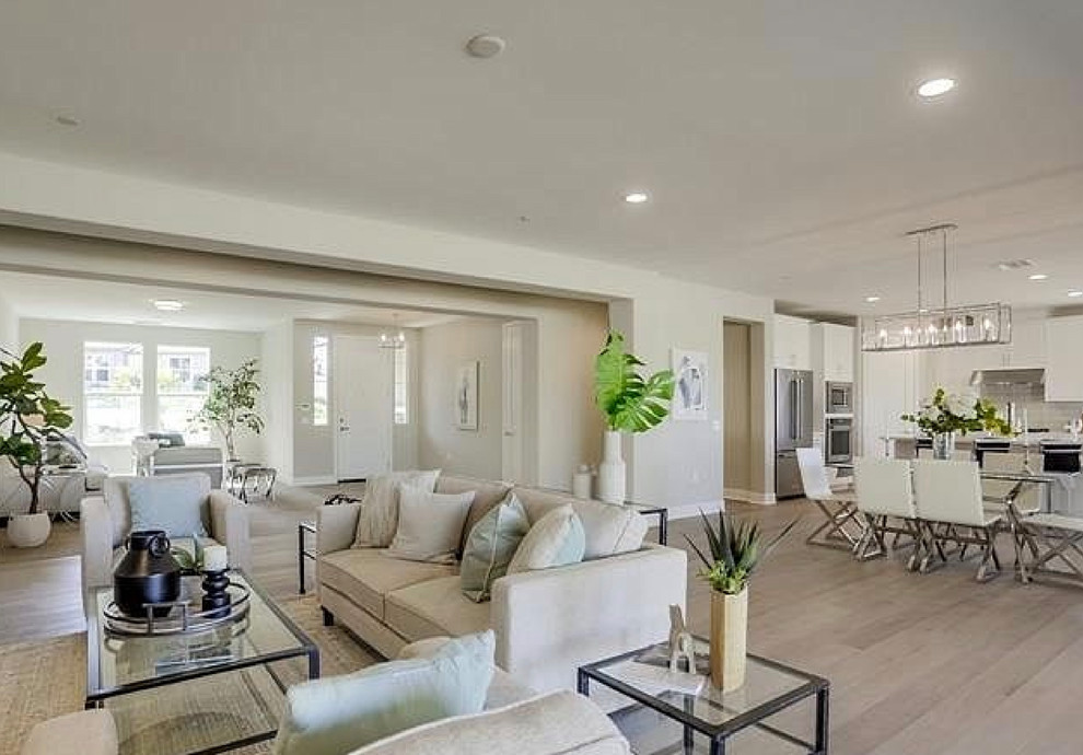 Model home staging Vista CA 2019 Transitional Living Room San